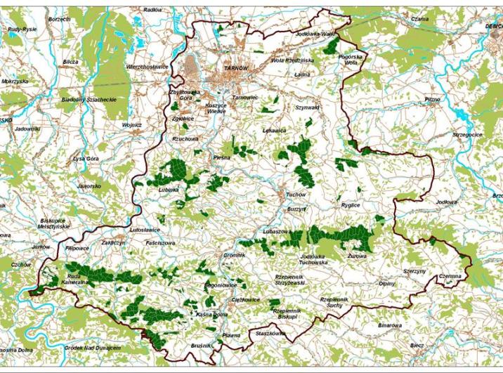 ZASIĘG&#x20;TERYTORIALNY&#x20;NADLEŚNICTWA&#x20;GROMNIK