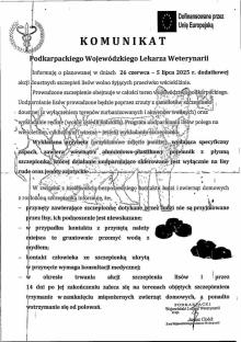 Szczepienie ochronne lisów